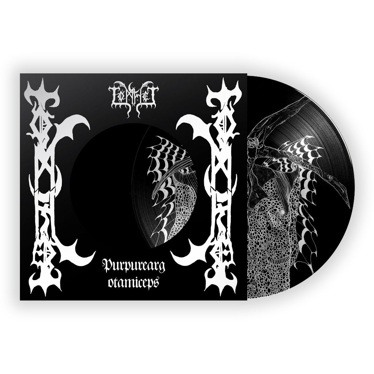 Tomhet - Purpureargotamiceps
