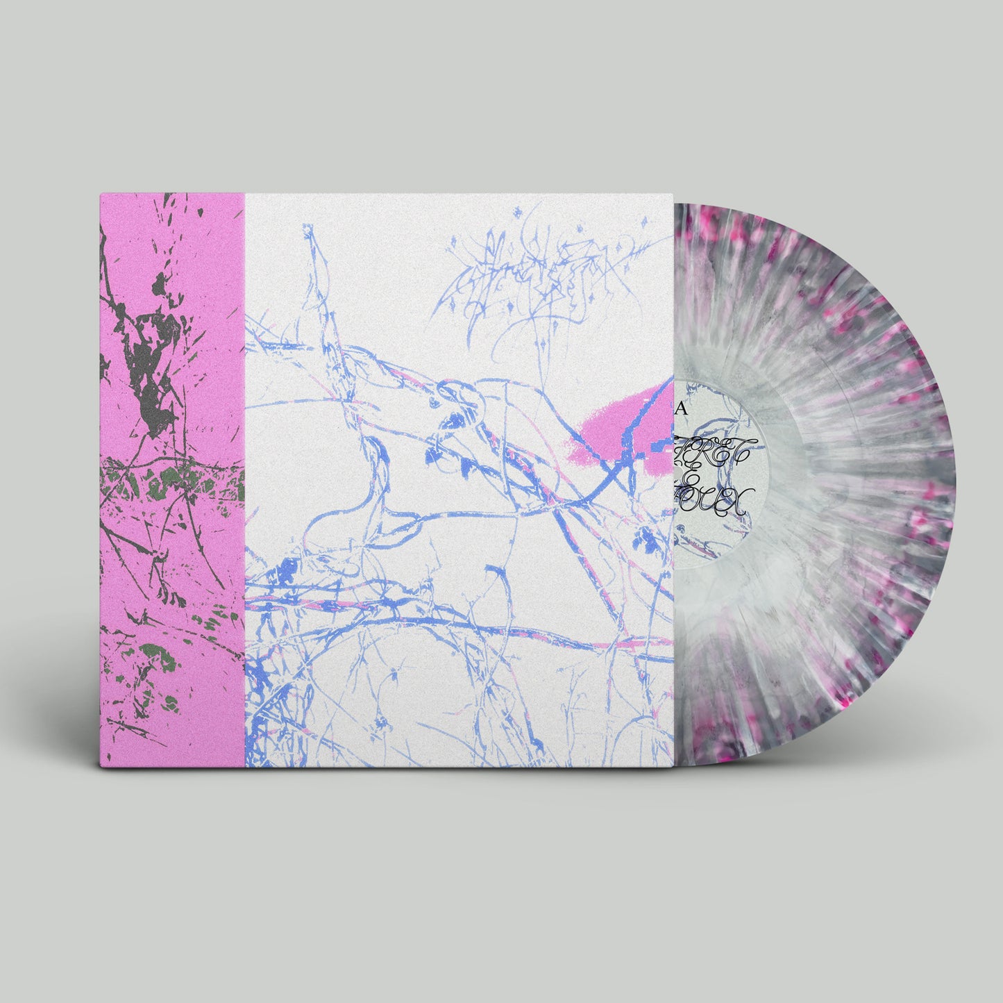 COFFRET DE BIJOUX - J'aeae cràiserais j'squa je n'aïe pluxe d'e vie... LP
