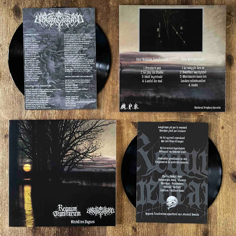 REGNUM TENEBRARUM / HERTOGENWALD - Sinistres Fagnes split LP