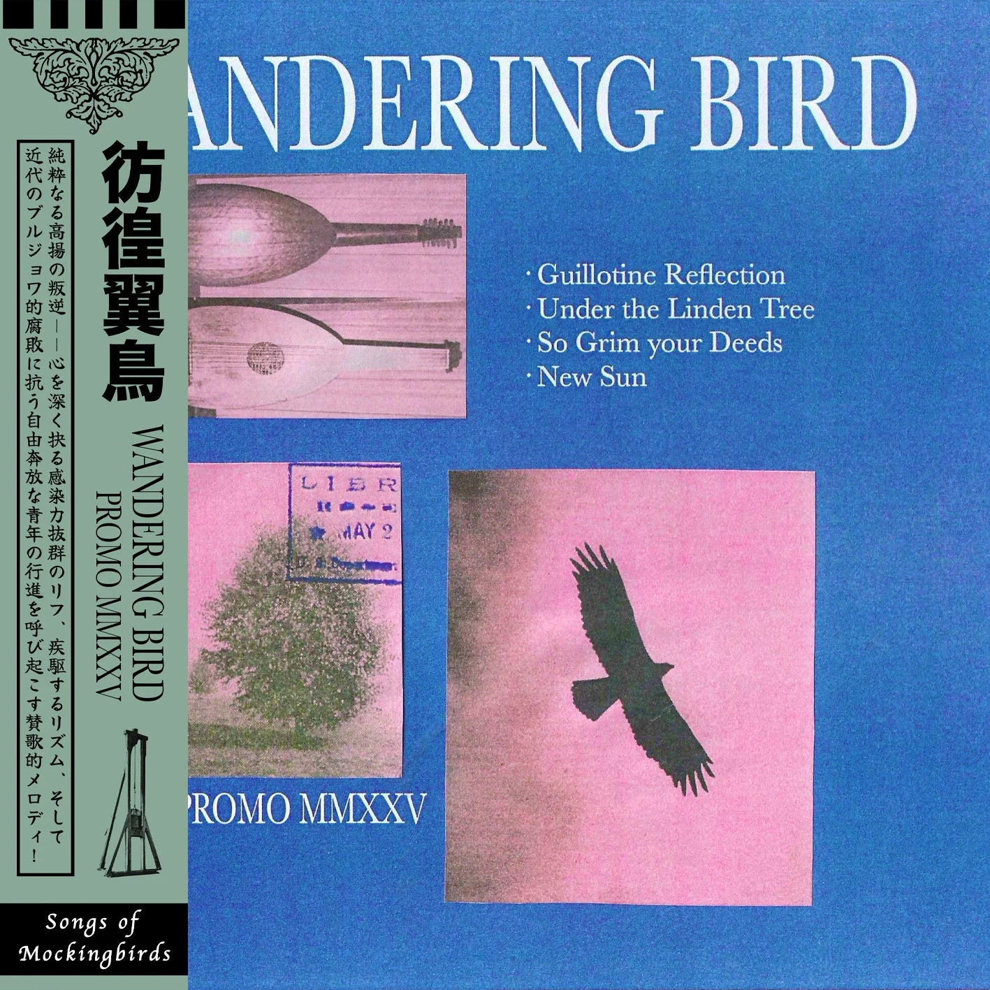 Wandering Bird (Can) - Promo MMXXV - 10"