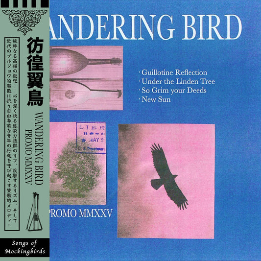 Wandering Bird (Can) - Promo MMXXV - 10"