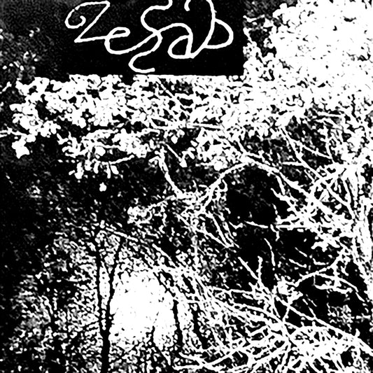Zesab – Waaseyaaban