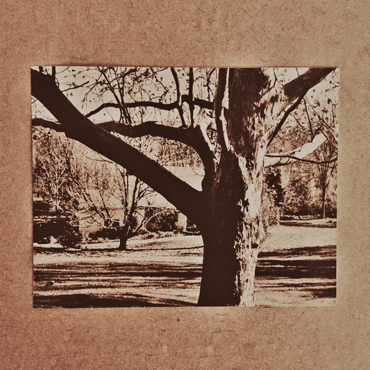 LIFE (Damian of Trha) - Demo IV 12"