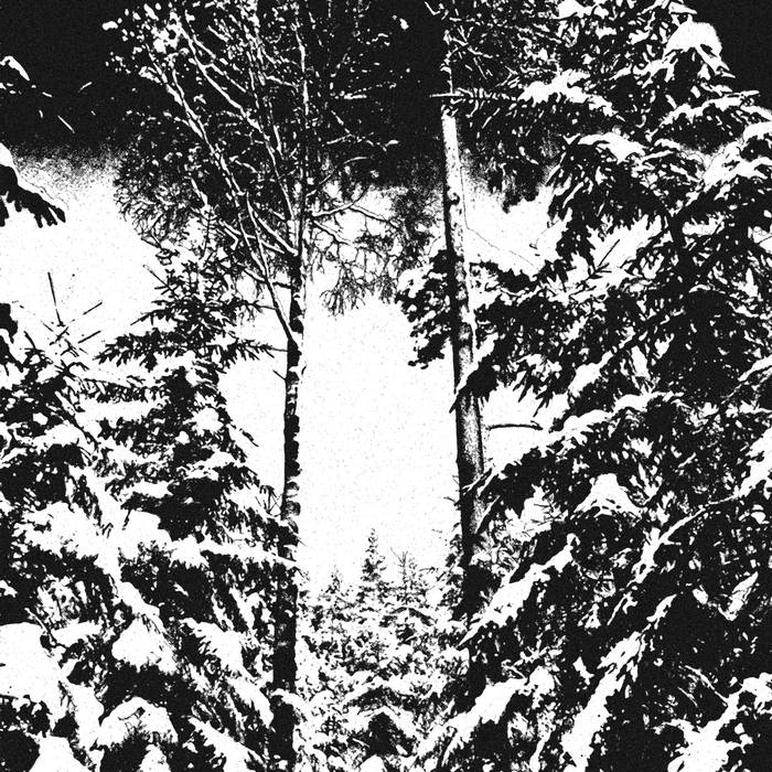 HVERGELMIR - "Urskog"LP