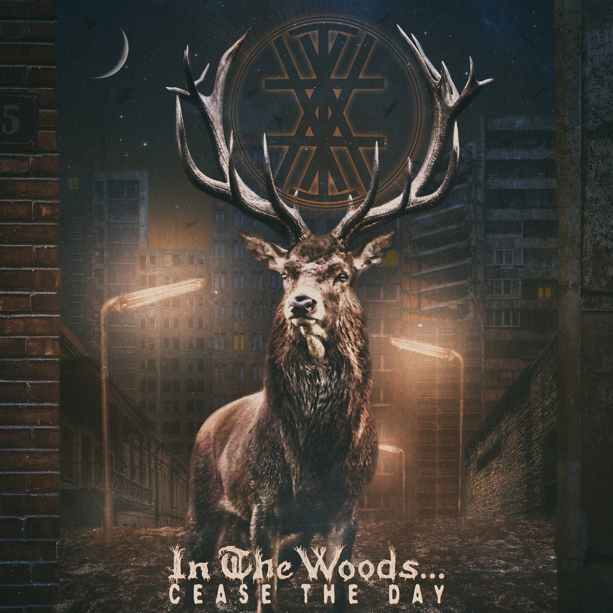 In the Woods - Cease the Day CD