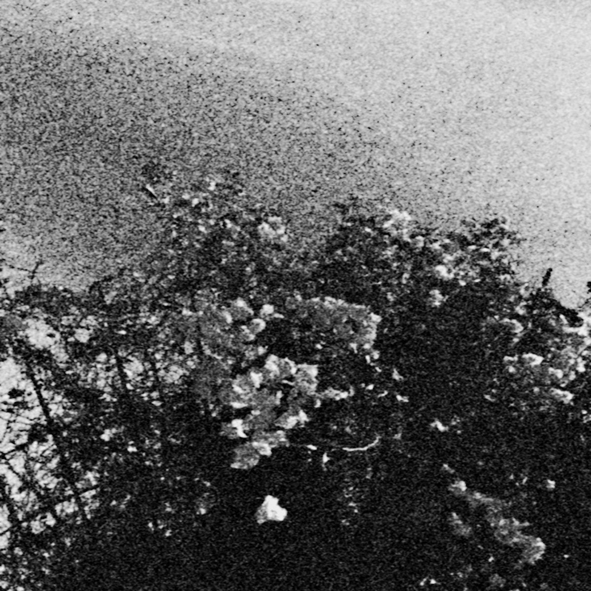Trhä /Celestial Sword - Edënohhdlha hálgra tu majtranlh'ha / Ga nëcëcta mon idlhi 12"