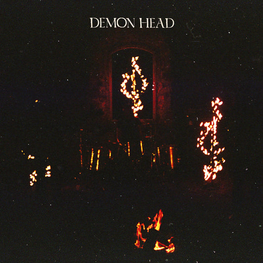 Demon Head - Through Holes Shine The Stars LP