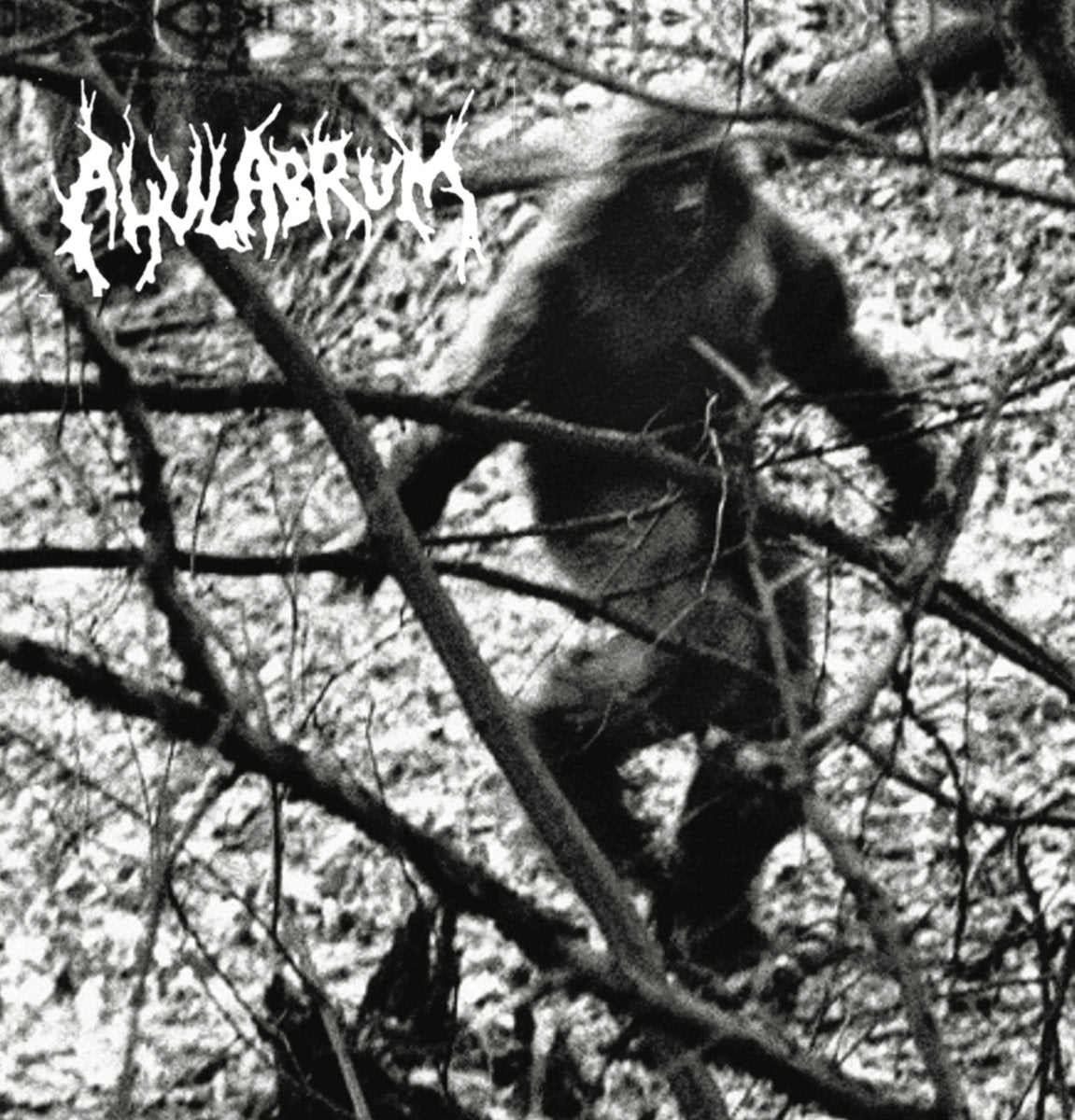 Ahulabrum - Strange Lights Portend Their Presence LP