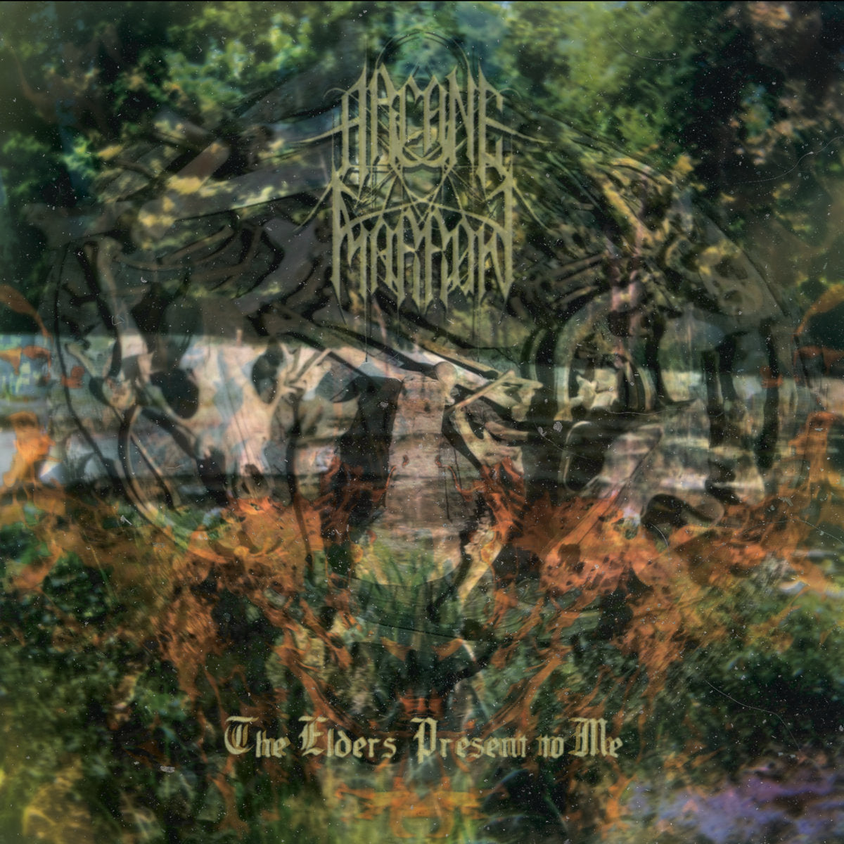 ARCANE MARROW - THE ELDERS PRESENT TO ME LP