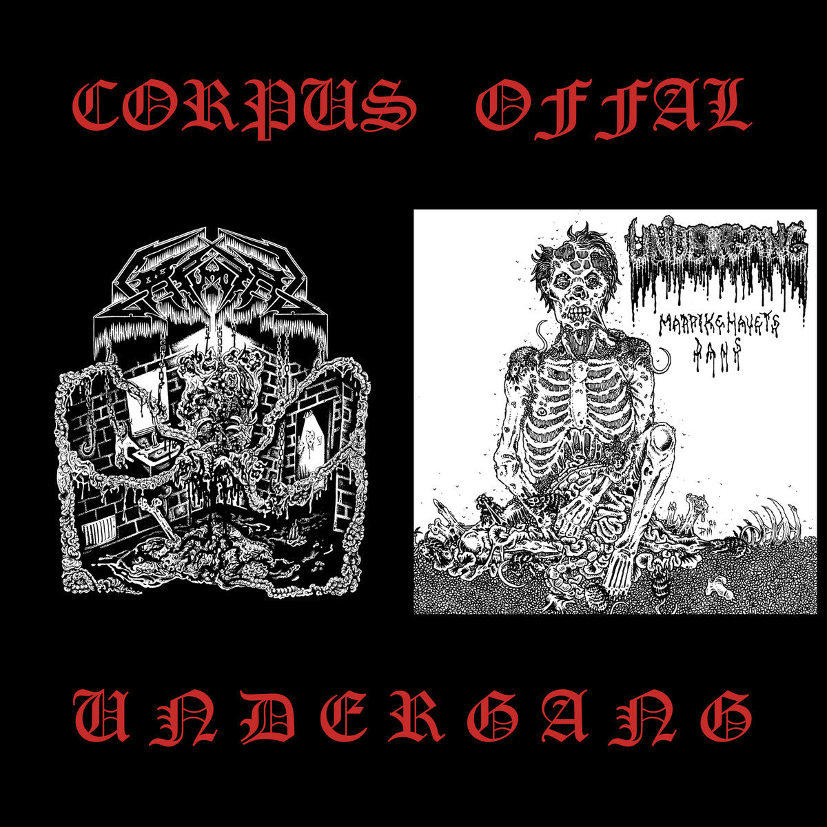Undergang/ Corpus Offal Split 7"