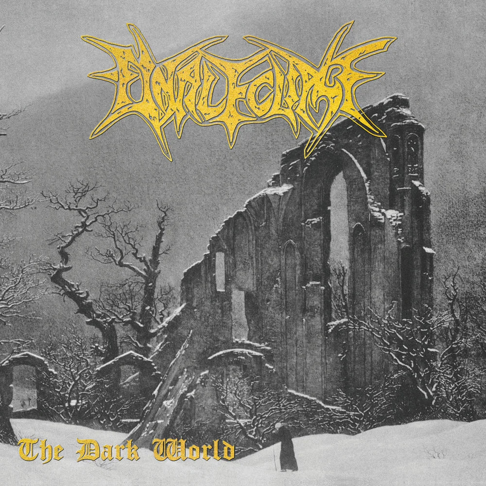 FINAL ECLIPSE - THE DARK WORLD LP
