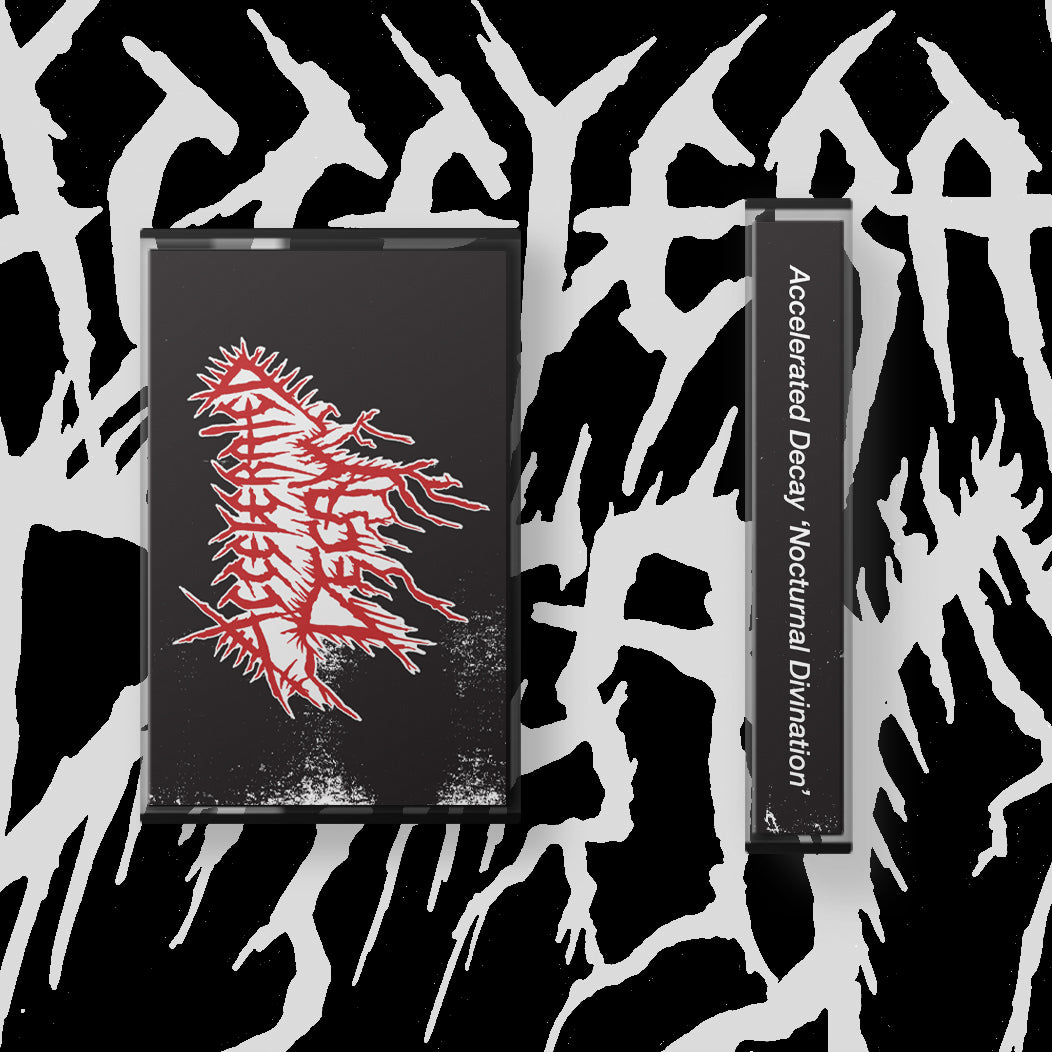 Accelerated Decay - Nocturnal Divination