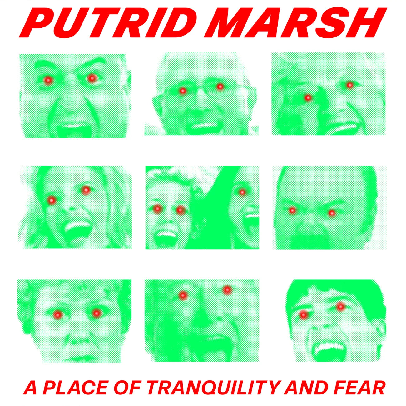 Putrid Marsh (US) - In Solitude - LP