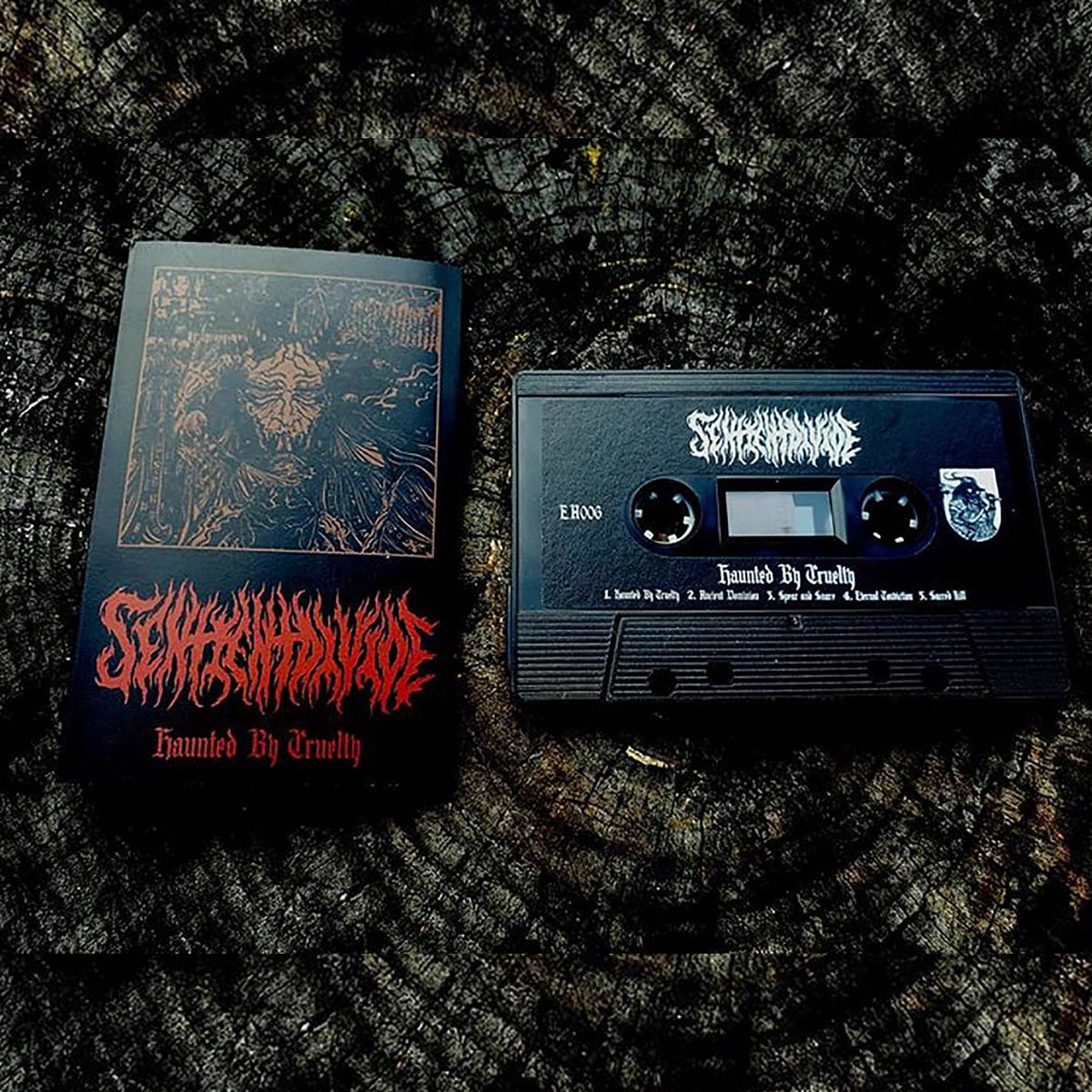 Sentient Divide - Haunted By Cruelty