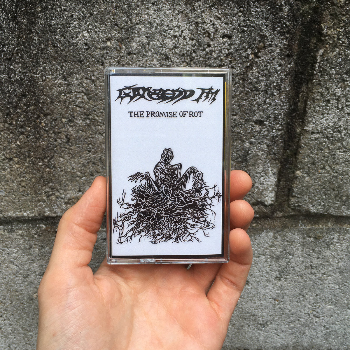 Gorsedd FM - The Promise of Rot