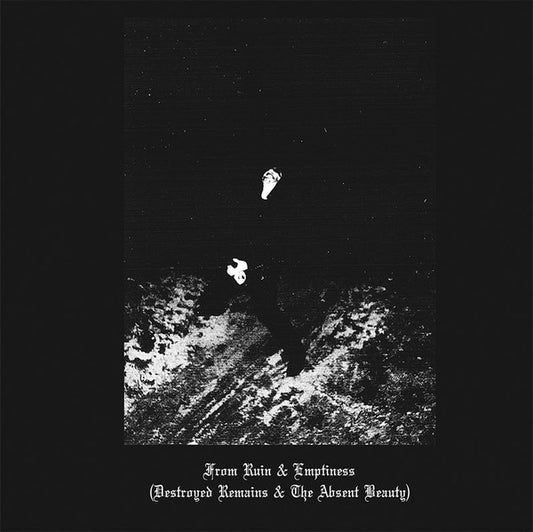 Sanguine Relic - From Ruin & Emptiness (Destroyed Remains & The Absent Beauty)
