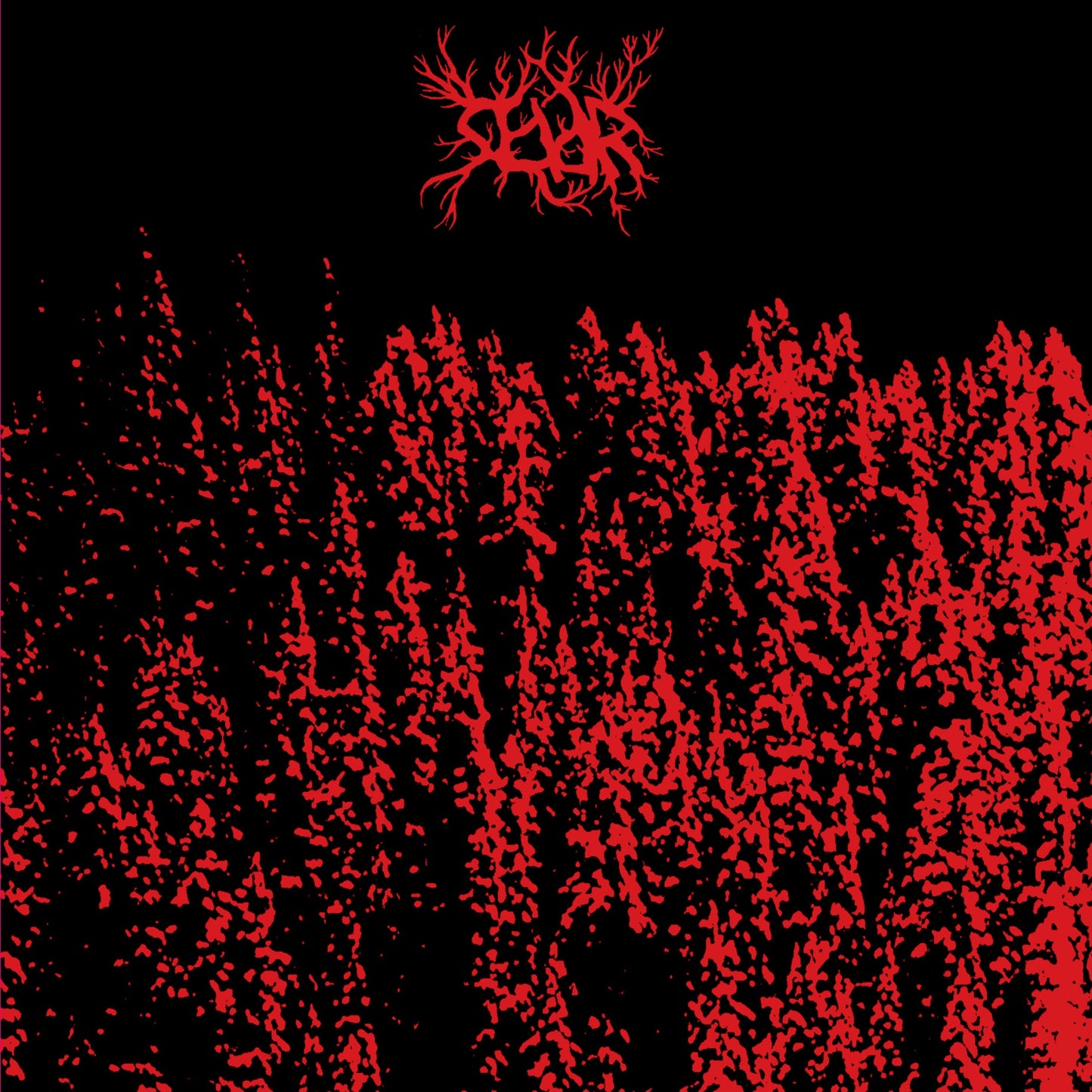 Seiðr - i Galskabens Mørke