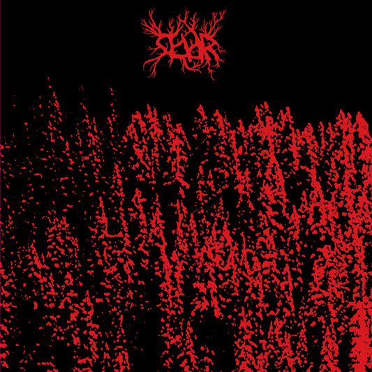 Seiðr - i Galskabens Mørke