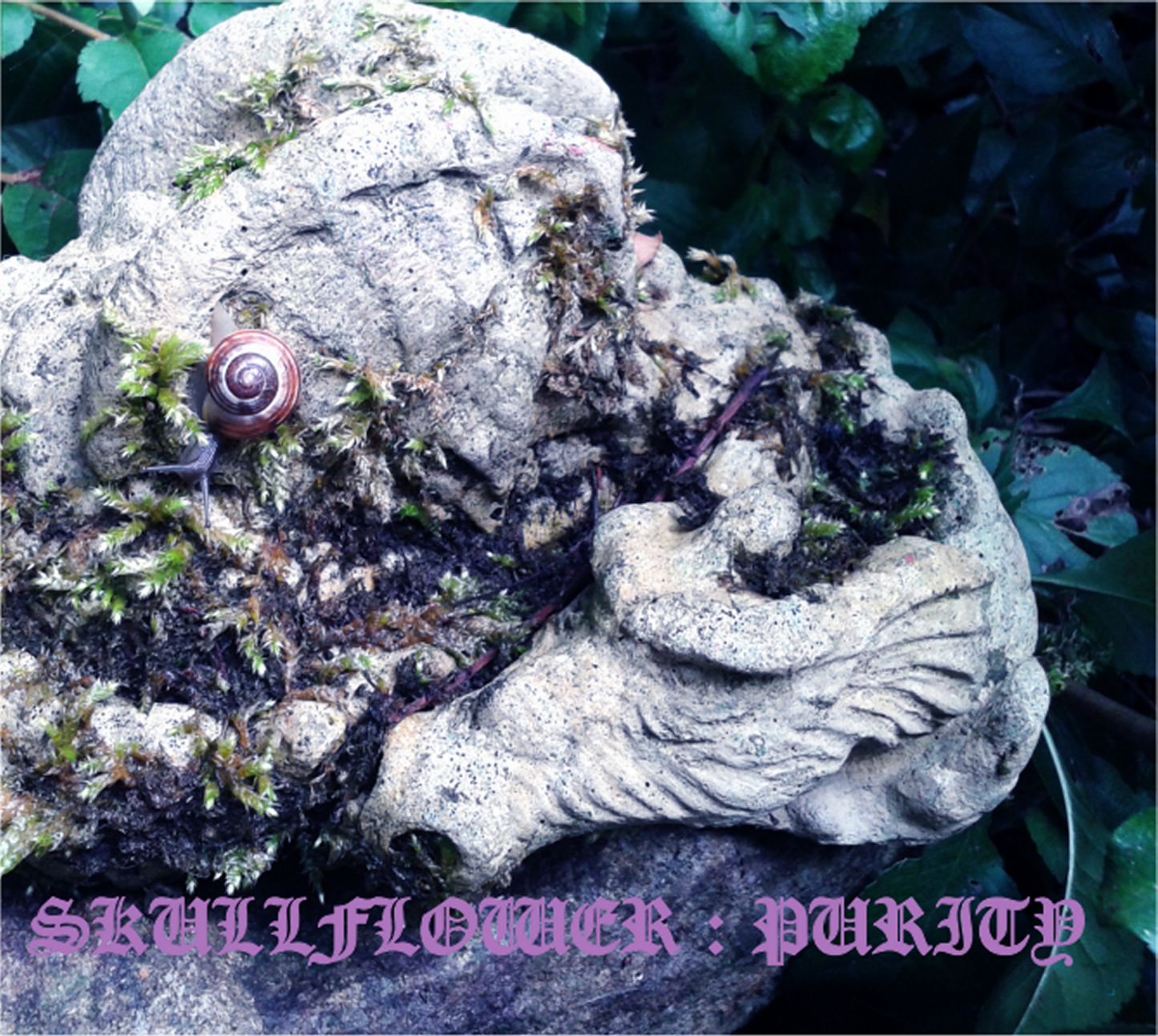 Skullflower - Purity CD