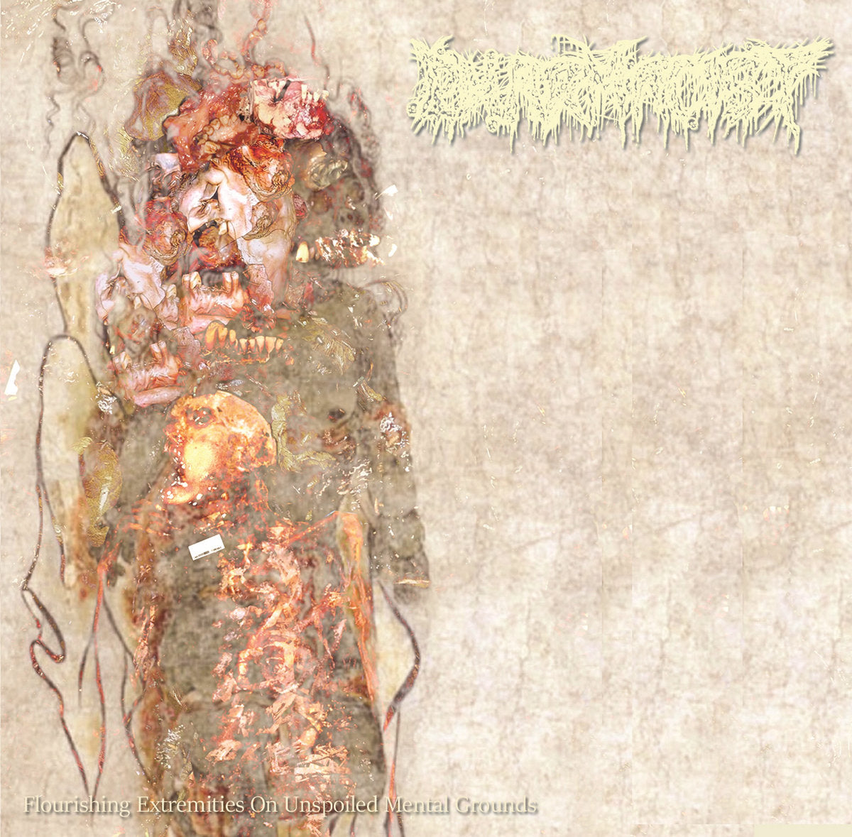 PHARMACIST - Flourishing Extremities On Unspoiled Mental Grounds (12" LP)