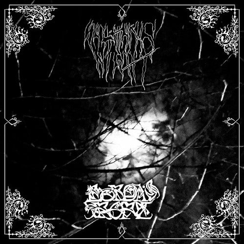 Sulphuric Night / Borda's Rope Split LP