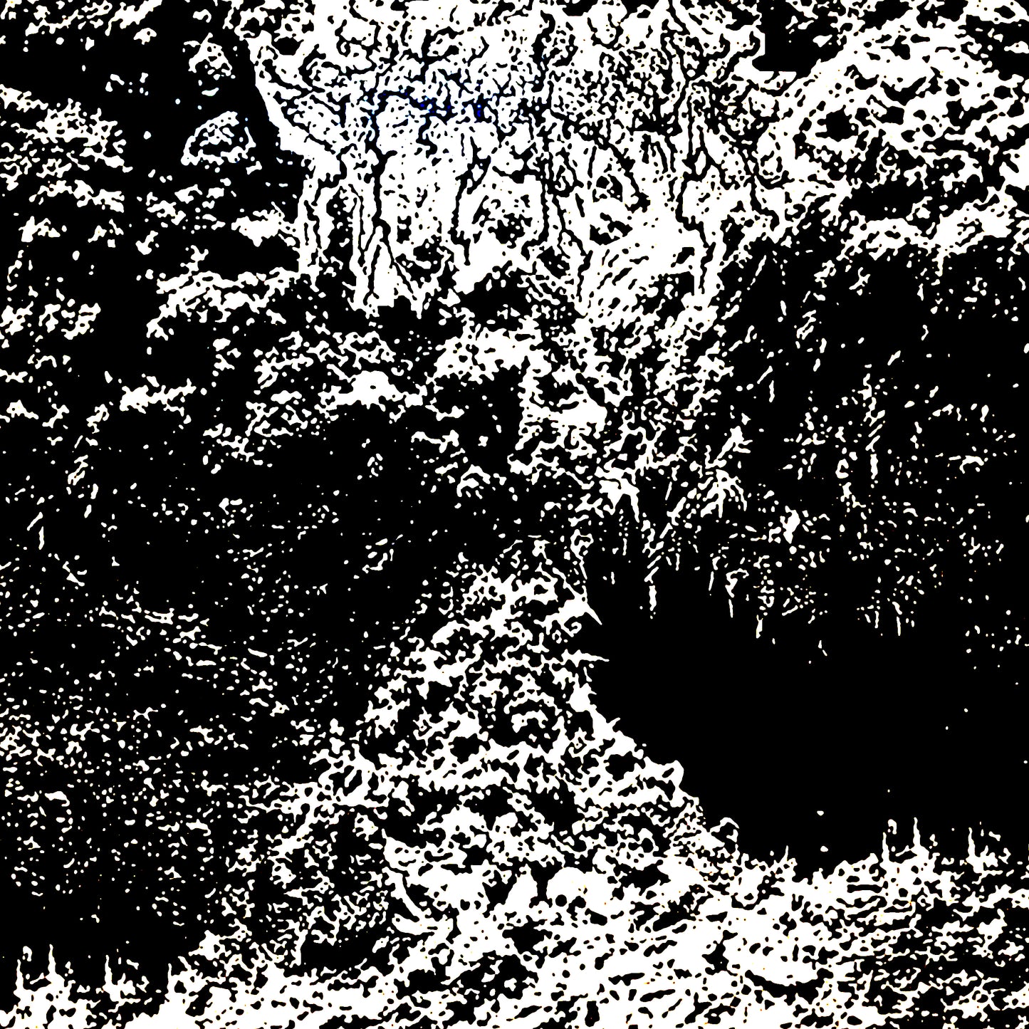 Ctenizidae - Undimensional Wasteland of Plague and Withering Throats LP