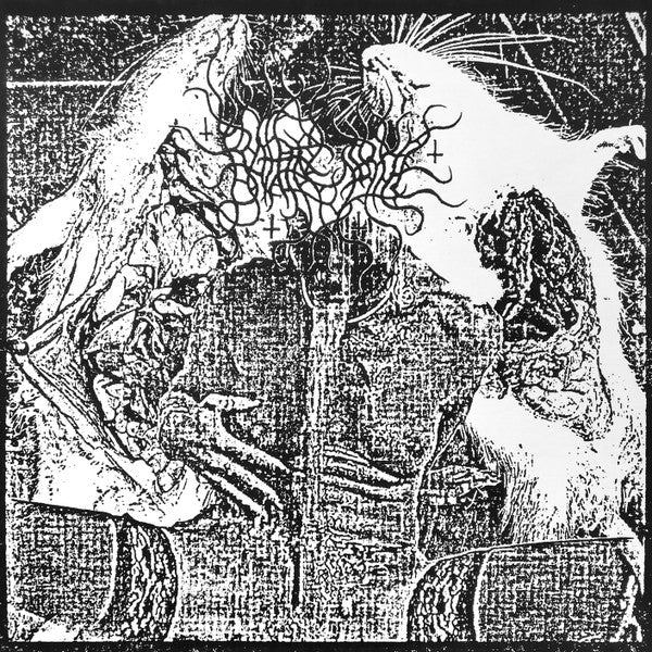 Rattenzirkel - Rattenzirkel