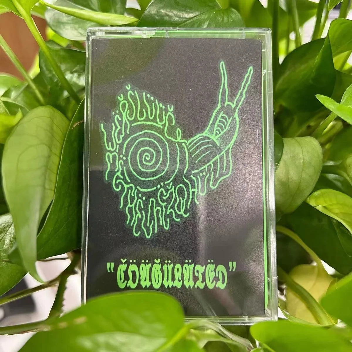 DEMOGOAT Wëřšlüüğ Mëthëlmëžqhül (Aus) - Čöäğülätëd - MC