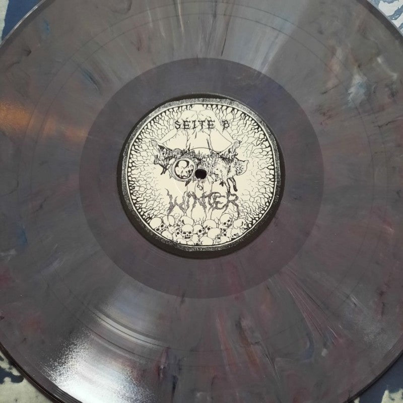 Winter - Netherlands into Darkness LP (Grey-marble vinyl)