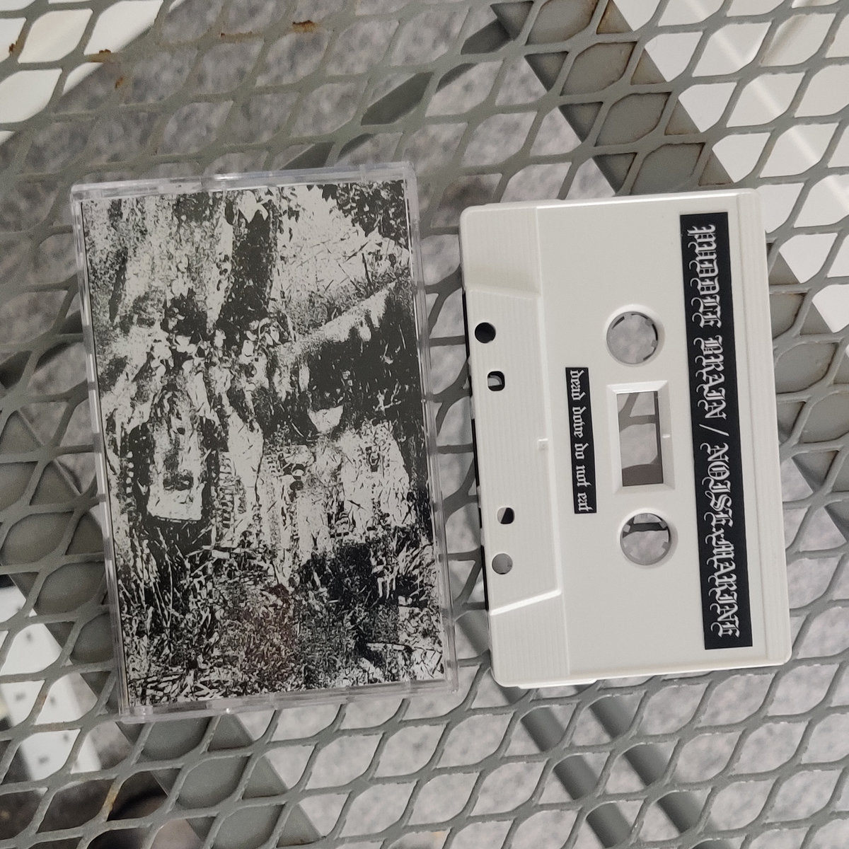 Puddle Brain / NOISExMARINE - dead dove do not eat  Tape