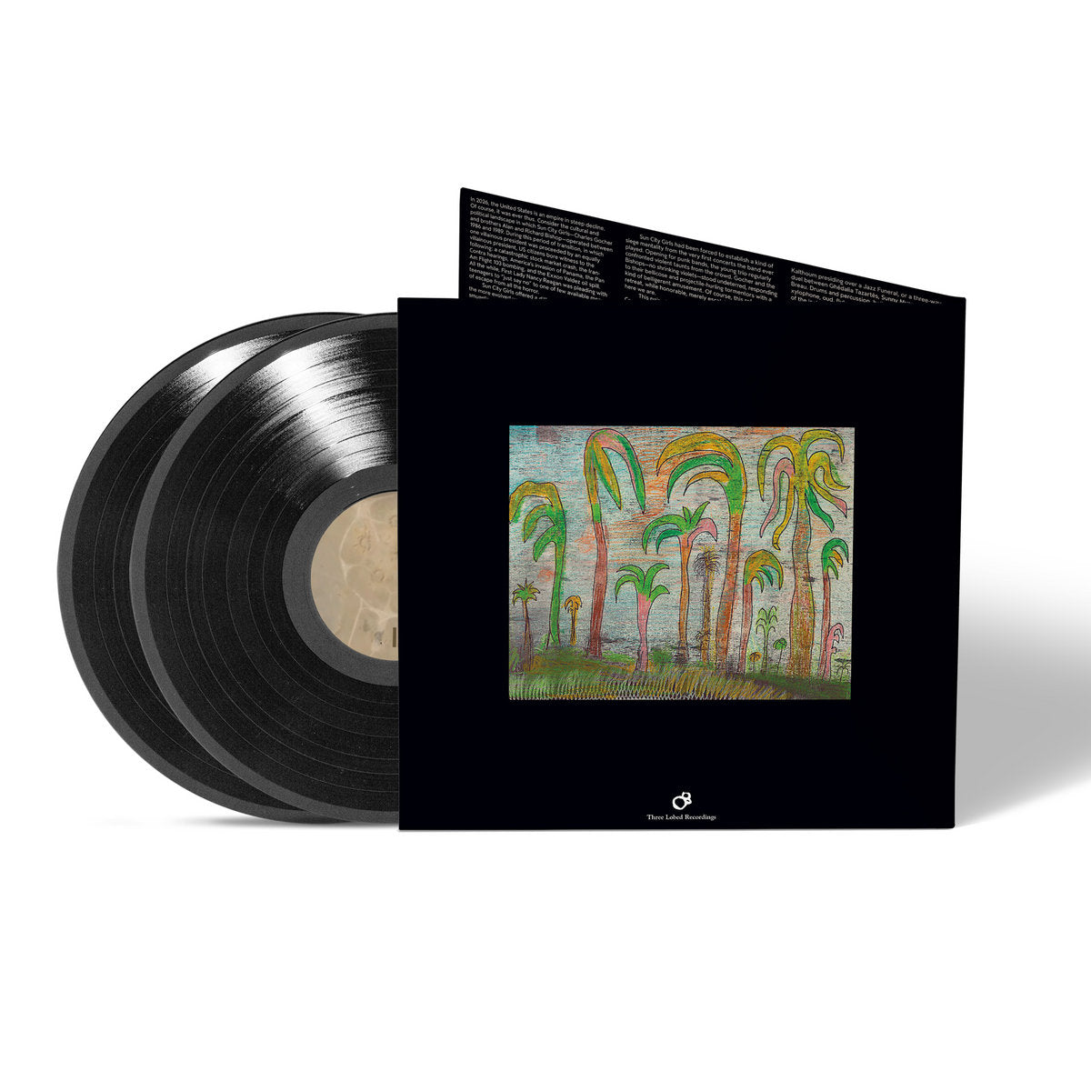 Sun City Girls - The Palm Leaves Of Victory / Audio Letter To Mitch Myers
