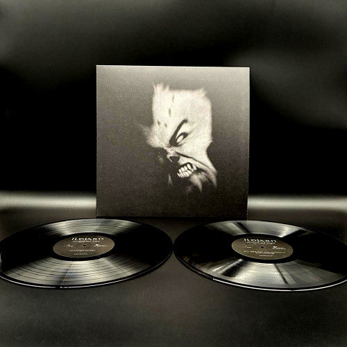 Ildjarn - Strength and Anger 2LP