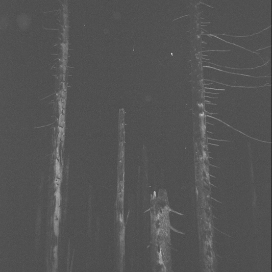 Brånd – Wo draht da Weg? LP