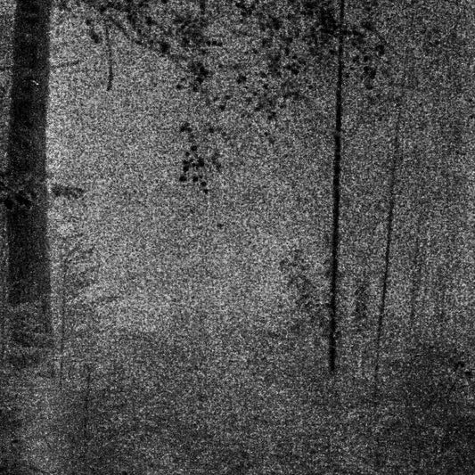 Cosmic Church - The Blessing