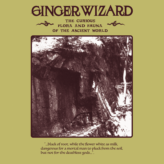 Ginger Wizard - The Curious Flora and Fauna of the Ancient World