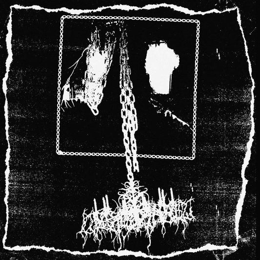 Calling of Phasmic Presence - Collection I