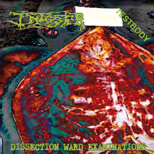 Infester - Dissection Ward Examinations LP (Single-Sided)