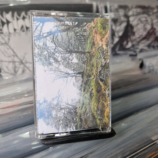 Lightning Under Camouflage - Acoustic Recordings MC