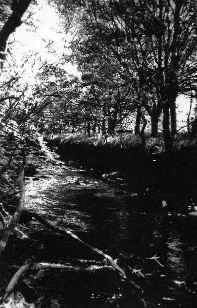 Wóddréa Mylenstede Live in Northumberland MC