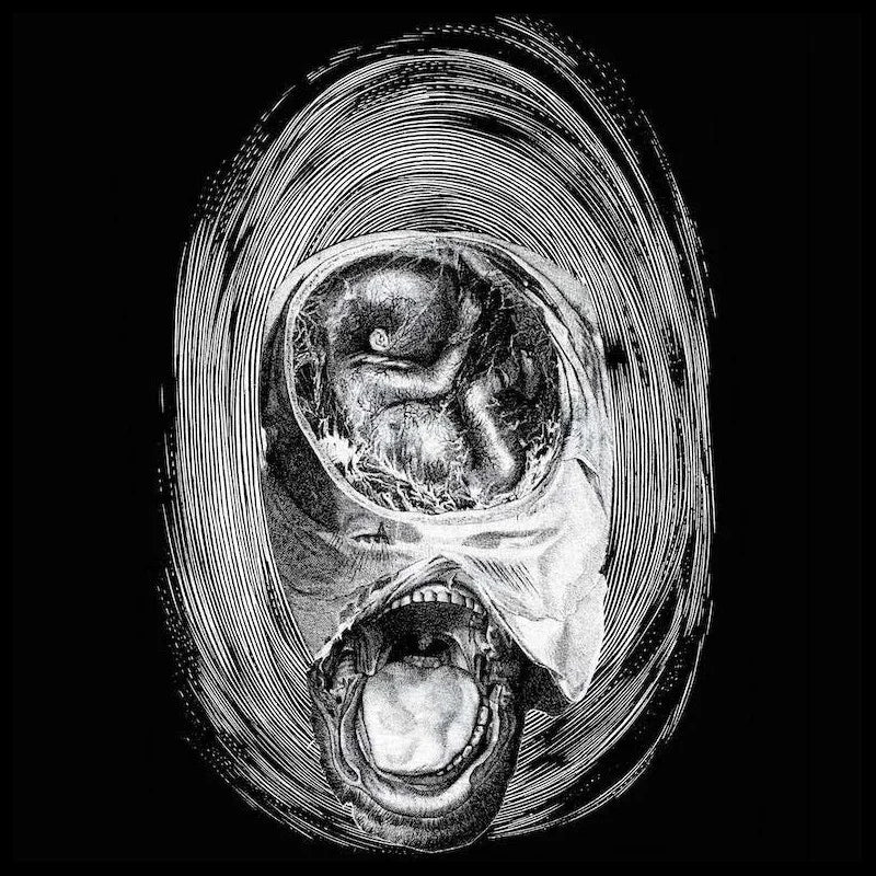 Rhinocervs - 16