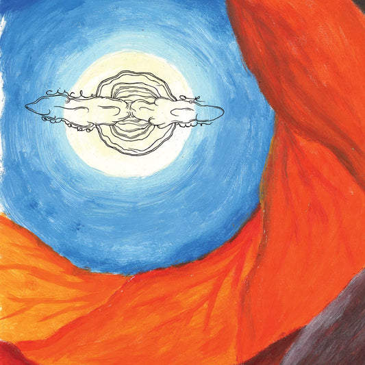 Circle of Ouroborus (Fin) - Aavikon Varjo - CD