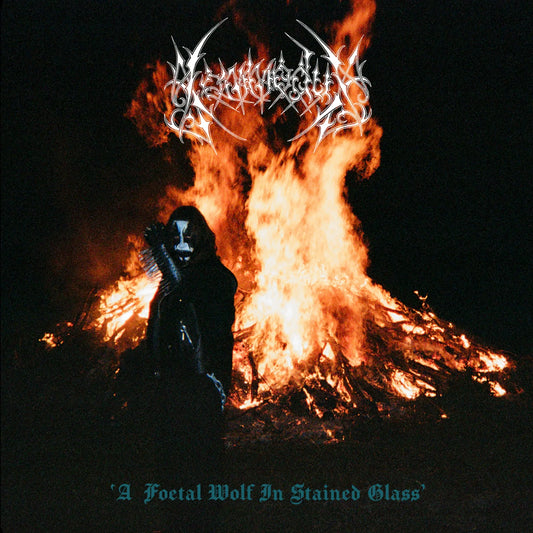 Kommodus (Aus) - A Foetal Wolf in Stained Glass