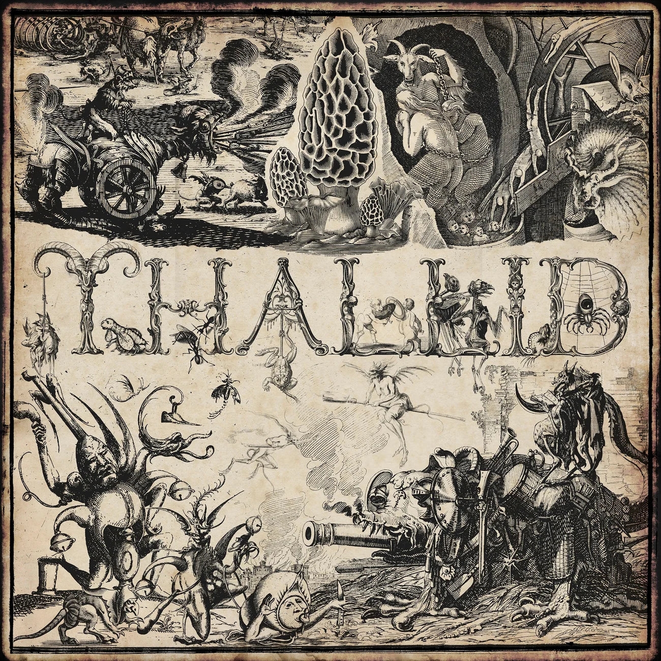 THALLID "S/T" LP [SORCERY-041]