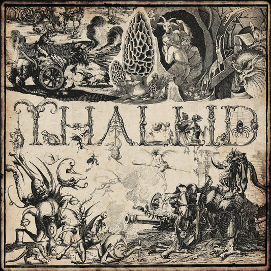 THALLID "S/T" LP [SORCERY-041]