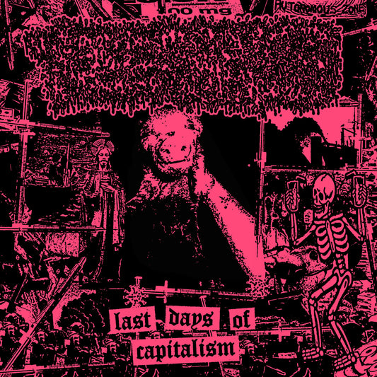 Tolerance - Last Days of Capitalism 12"