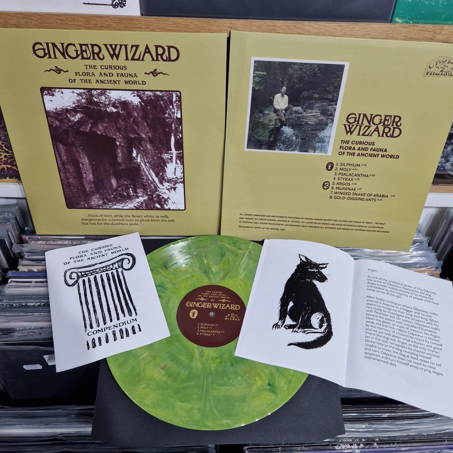 Ginger Wizard - The Curious Flora and Fauna of the Ancient World