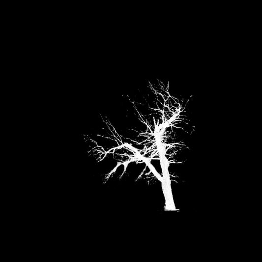 Cosmic Church - Unohdetun Rituaalin Planeetta