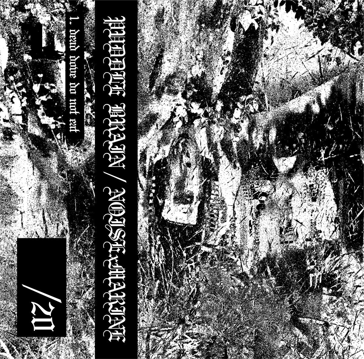 Puddle Brain / NOISExMARINE - dead dove do not eat  Tape