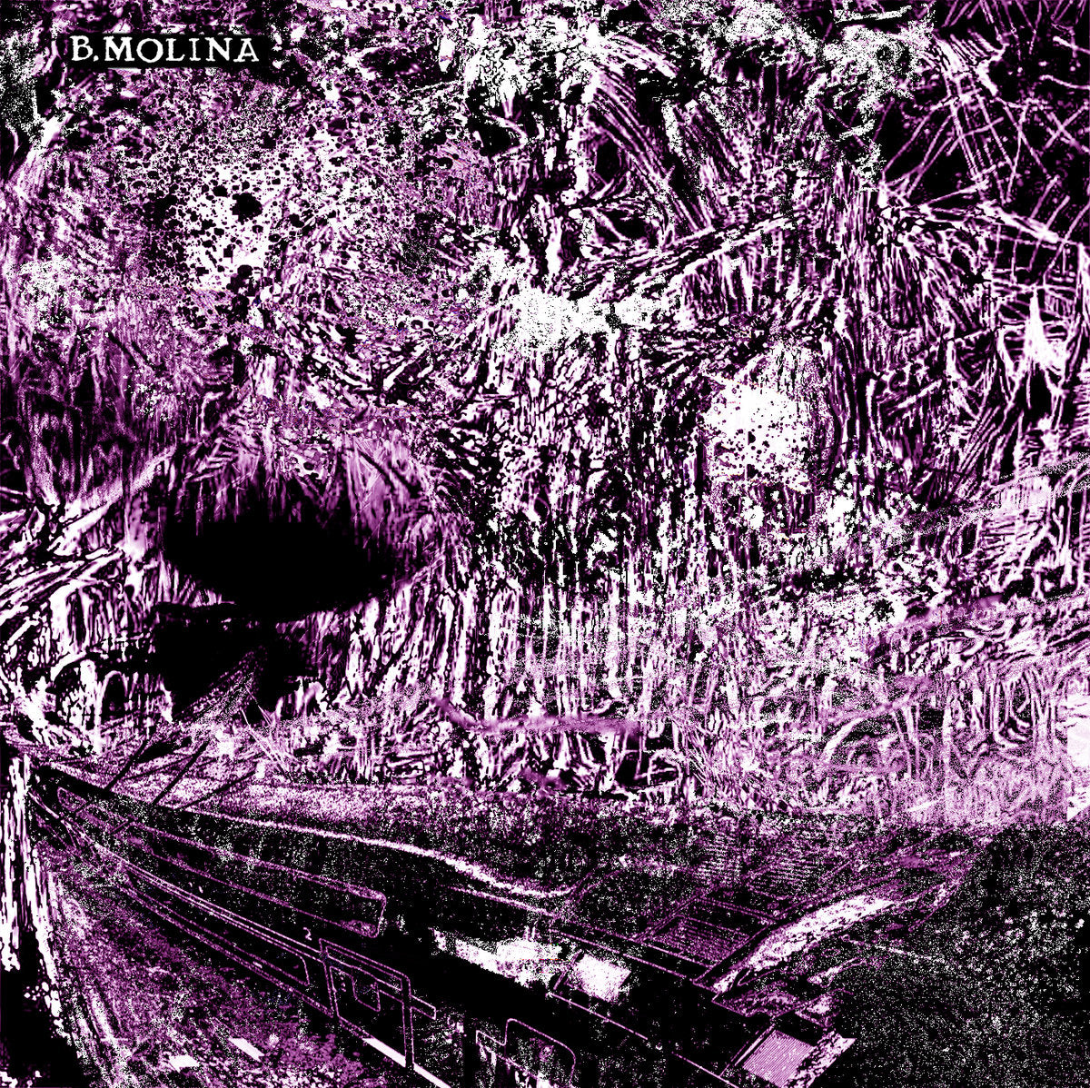 B. Molina -  Aleación y Submersion LP
