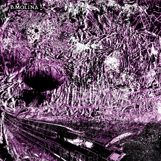 B. Molina - Aleación y Submersion LP